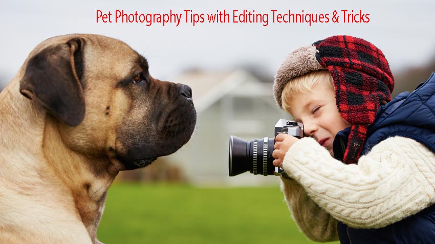 Pet Photography Tips with Editing Techniques & Tricks